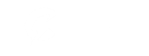 Cyber Land
